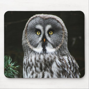 The Great Grey Owl mpcn Mouse Pad