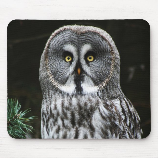 The Great Grey Owl mpcna Mouse Pad (Front)
