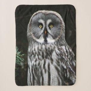 The Great Grey Owl sba Sherpa Blanket