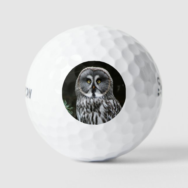 The Great Grey Owl ssf gbcna Golf Balls (Front)