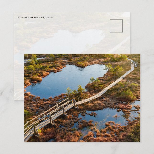 The Great Kemeri Bog Boardwalk, Latvia Postcard (Front/Back)