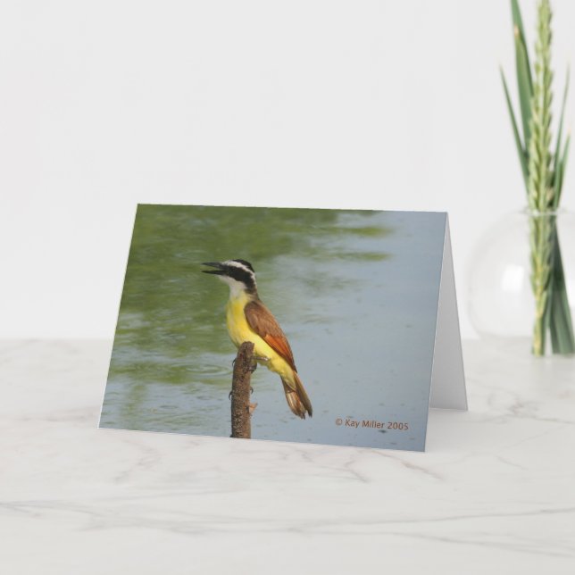 The Great Kiskadee Card (Front)