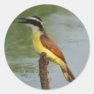 The Great Kiskadee Classic Round Sticker