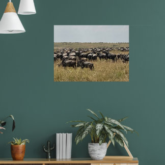 The Great Migration – African Wildebeest Photo Pri Poster