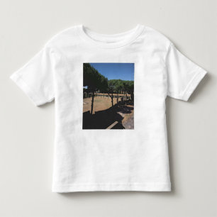 The Great Palaestra Toddler T-Shirt