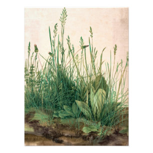The Great Piece of Turf by Albrecht Durer Photo Print