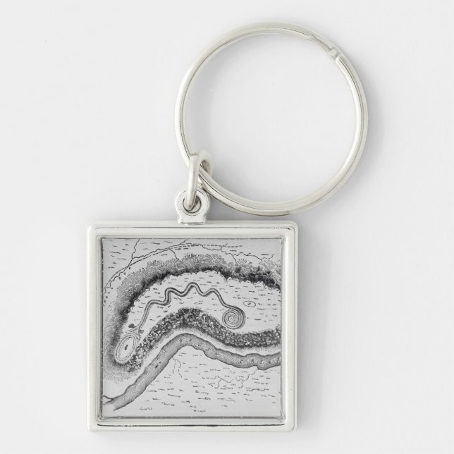 The Great Serpent Mound Key Ring (Front)