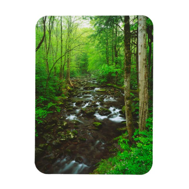 The Great Smoky Mountains Magnet (Vertical)
