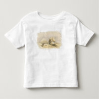 The Great Sphinx and the Pyramids of Giza, from "E