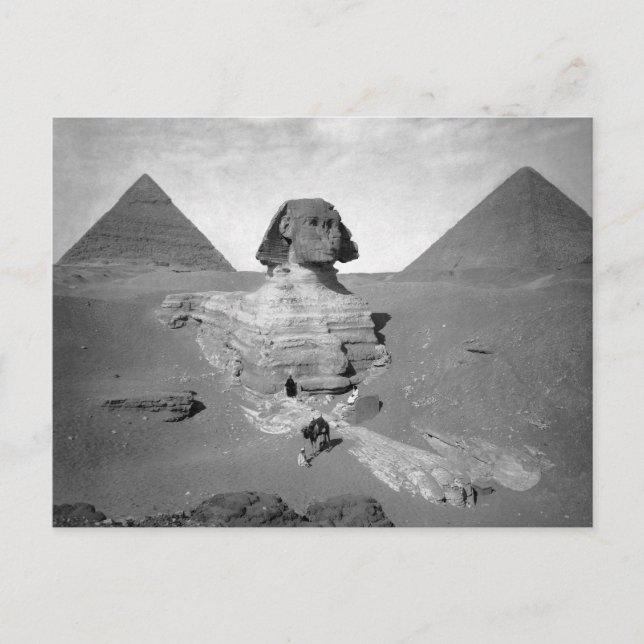 The Great Sphinx & Pyramids, 1878 Postcard (Front)