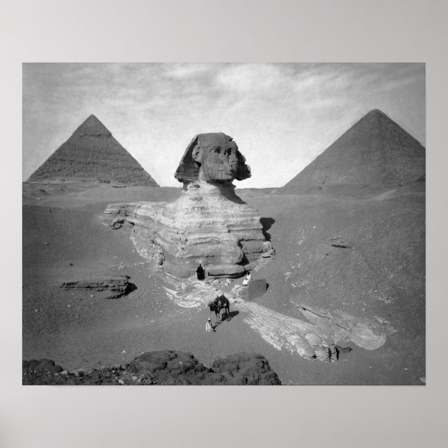 The Great Sphinx & Pyramids, 1878. Vintage Photo Poster (Front)