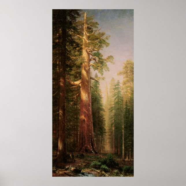 The Great Trees, by Albert Bierstadt Poster (Front)