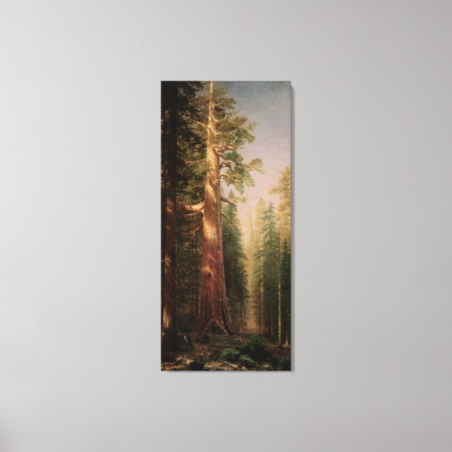 The Great Trees, Mariposa Grove, CA by Bierstadt Canvas Print (Front)