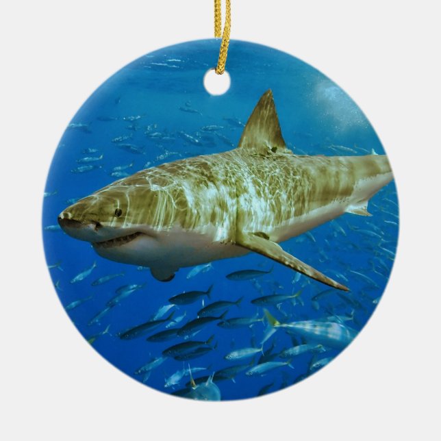 The Great White Shark Carcharodon Carcharias Ceramic Tree Decoration (Front)