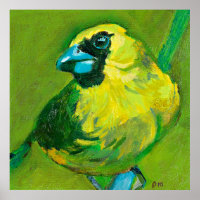 The Green Bird With The Blue Beak