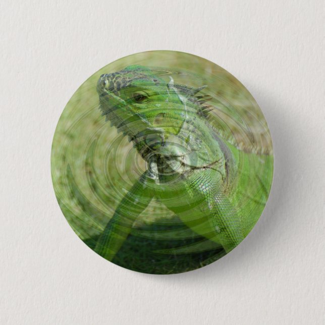 The Green Iguana 6 Cm Round Badge (Front)