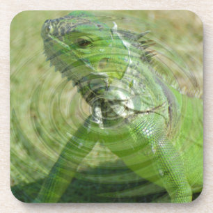 The Green Iguana Coaster