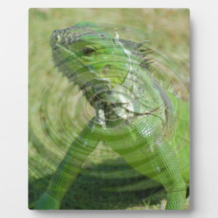 The Green Iguana Plaque