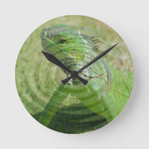 The Green Iguana Round Clock