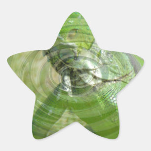 The Green Iguana Star Sticker