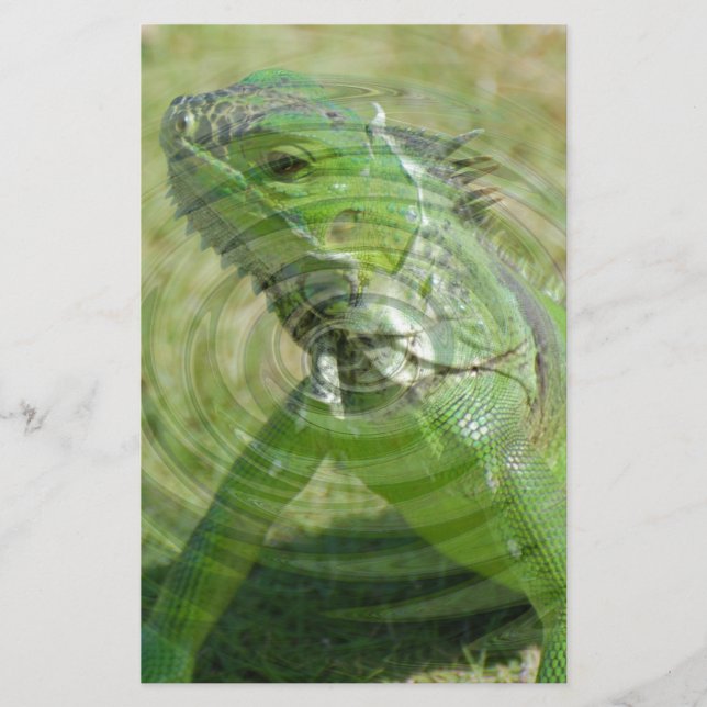 The Green Iguana Stationery (Front)