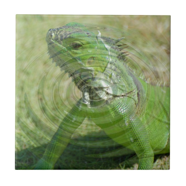 The Green Iguana Tile (Front)