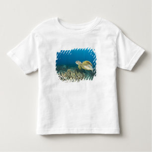 The Green Sea Turtle, (Chelonia mydas), is the 3 Toddler T-Shirt