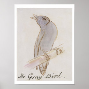 The Grey Bird, from 'Sixteen Drawings of Comic Bir Poster