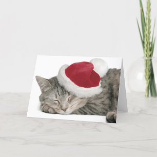 The Grey Cat Sleeps In A New Year's Cap Holiday Card
