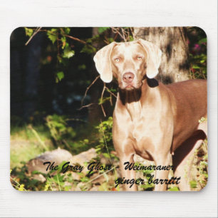 The Grey Ghost - Weimaraner, ginger ... Mouse Pad