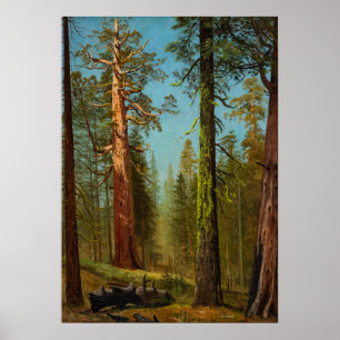 The Grizzly Giant Sequoia, Famous Painting Poster