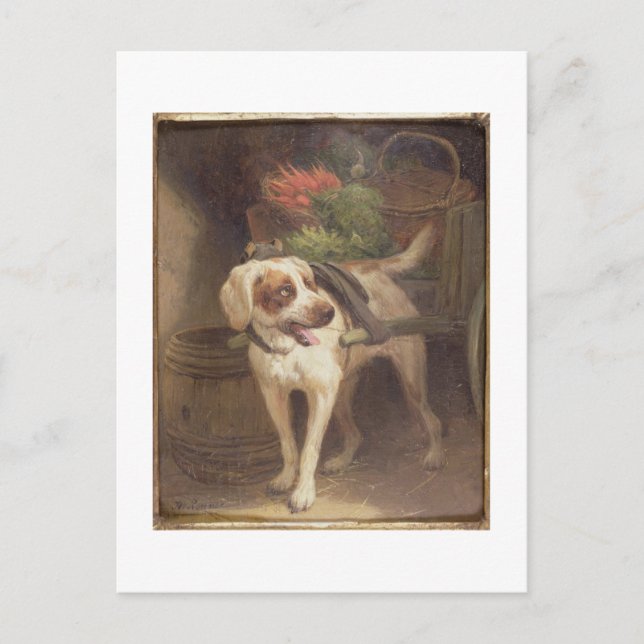 The Grocer's Dog (oil on panel) Postcard (Front)