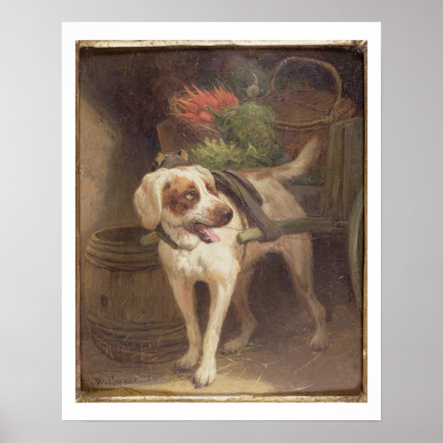 The Grocer's Dog (oil on panel) Poster (Front)