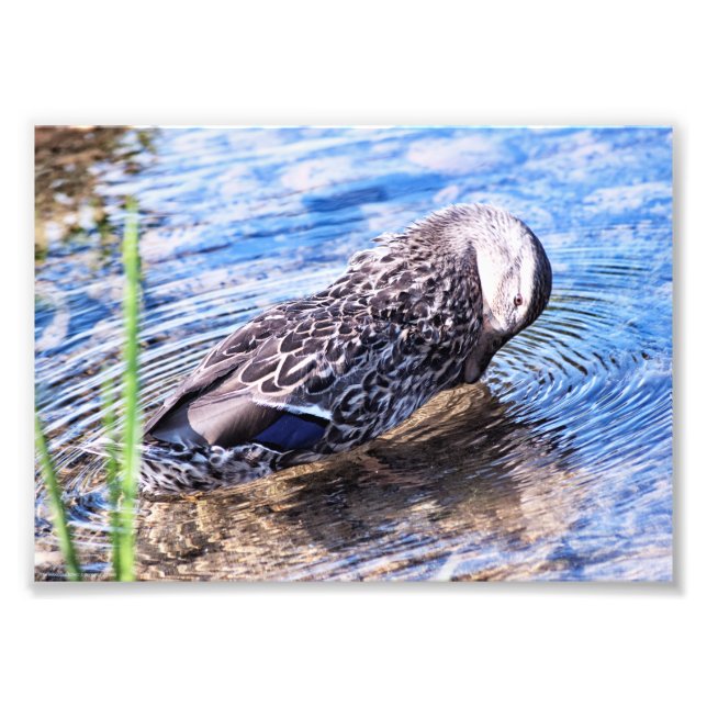 The Grooming Effect Photo Print (Front)