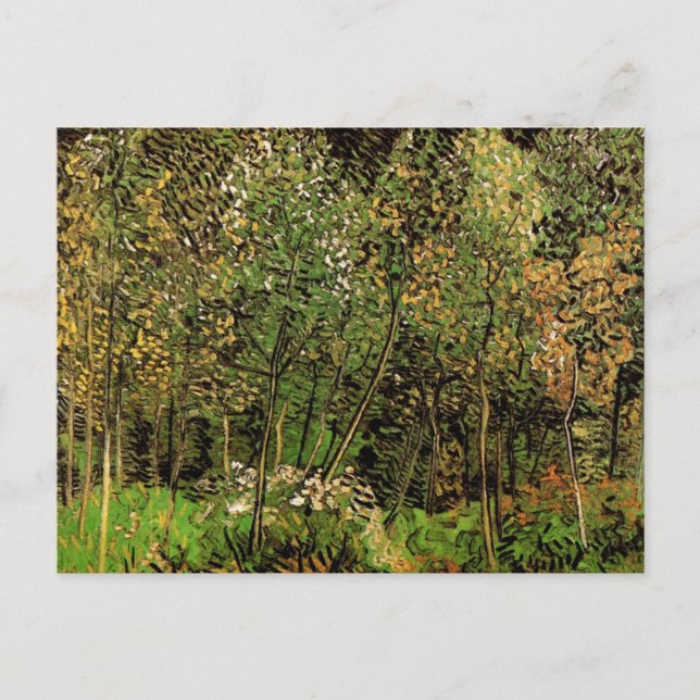 The Grove by Vincent van Gogh Postcard (Front)
