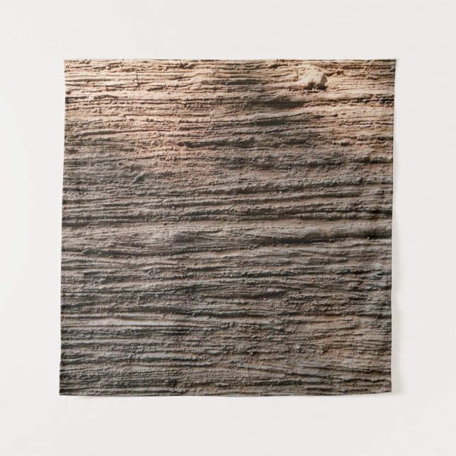The grunged rusty on the wall isolated. Rust metal Tapestry (Front)