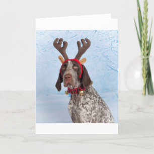 The GSP Reindeer Holiday Card