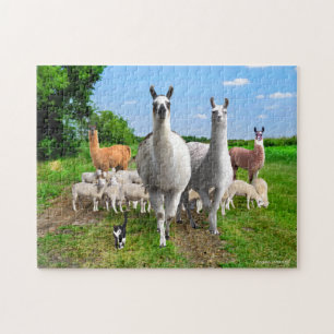 "The Guard Llamas"  Jigsaw Puzzle