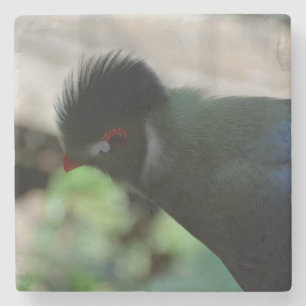 THE GUINEA TURACO MARBLE COASTER