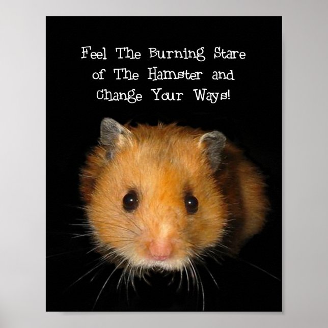 The Hamster Poster (Front)