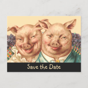 The Handsome Pig Couple Save the Date Announcement Postcard