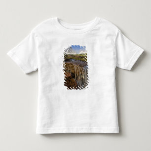 The Hanging Gardens at Logan Pass in Glacier Toddler T-Shirt