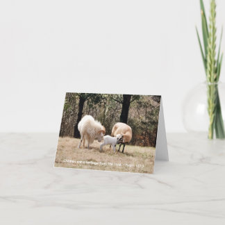 The Happy Family Thank You Card