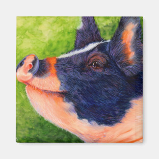 The Happy Hog - Pig Magnet