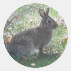 The Happy Rabbit Classic Round Sticker