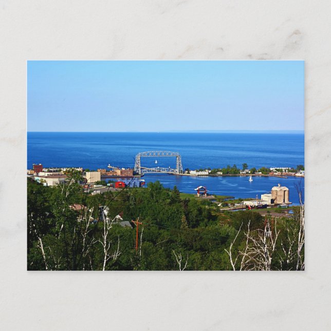 The Harbour from Skyline Postcard (Front)