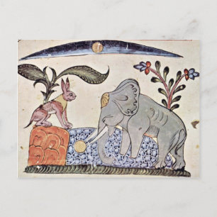 The Hare And The Elephant King In Front Of The Mir Postcard