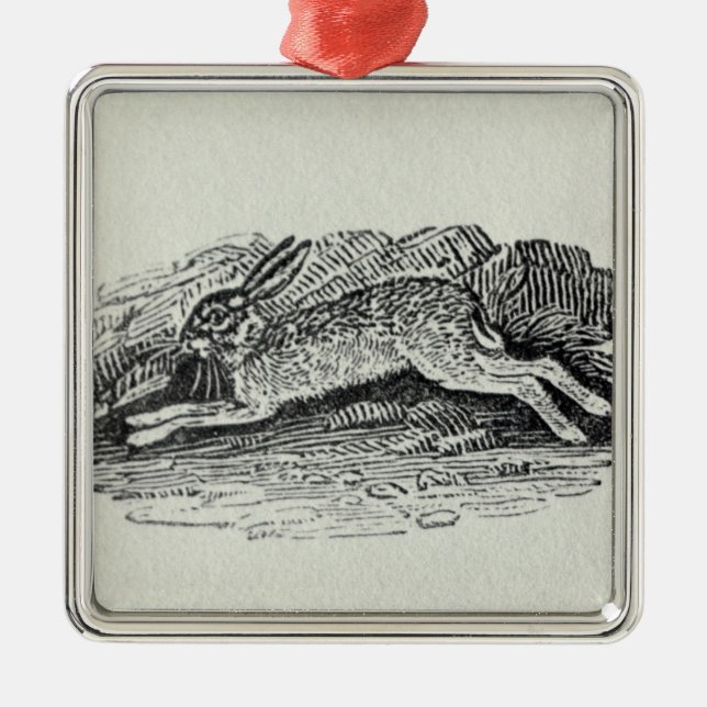 The Hare Metal Tree Decoration (Front)