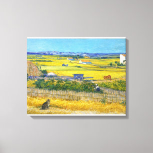 The Harvest Cat Canvas Print