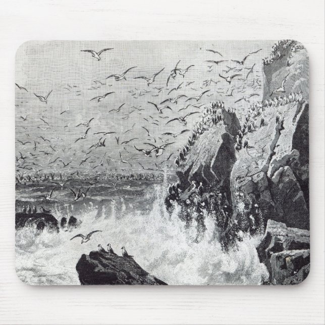 The Haunt of the Gulls Mouse Pad (Front)
